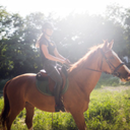 Christina Inserillo Providing Guidance for New Horseback Riders