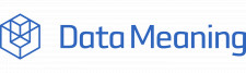 Data Meaning Logo