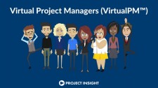 VirtualPM™ from Project Insight