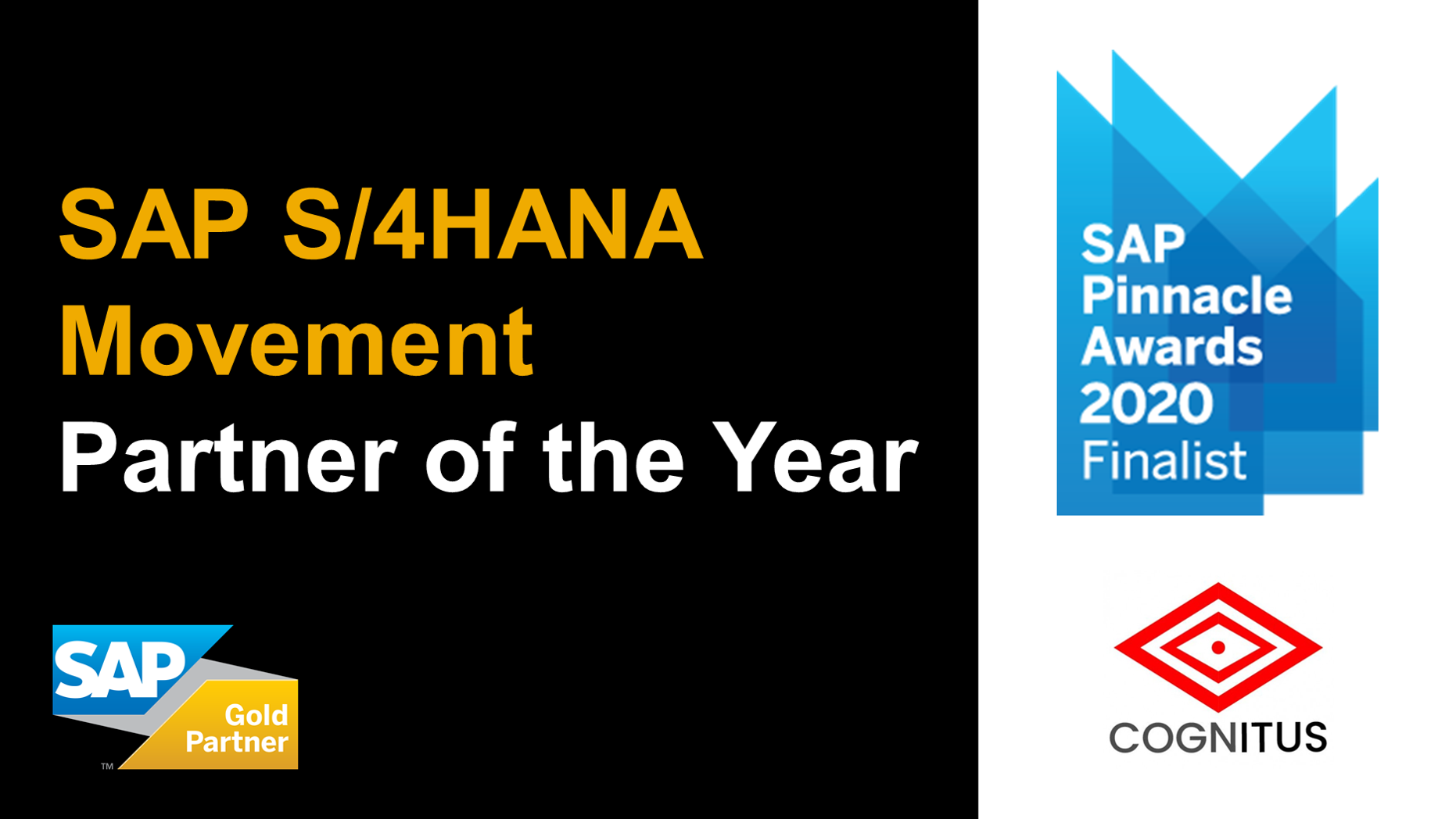 Cognitus Named a Finalist for 2020 SAP Pinnacle Award in SAP S/4HANA