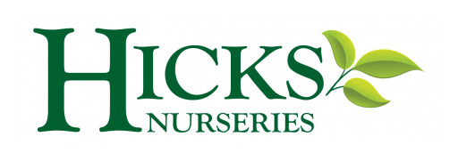Hicks Nurseries Offers Four Tips for a Mosquito-Free Summer
