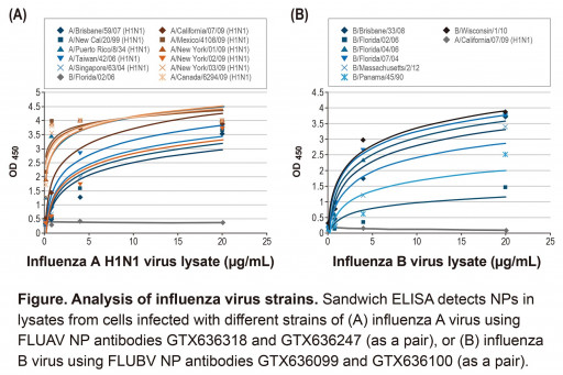 Analysis of influenza virus strains
