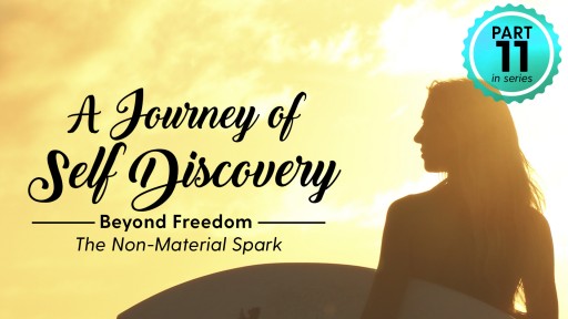Science of Identity Foundation Releases Video on 'Beyond Freedom'
