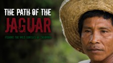 The Path of the Jaguar