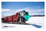 Dogsledding in Leadville