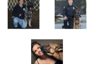 2017 Greatmats National Dog Trainer of the Year Nominees - Part 2