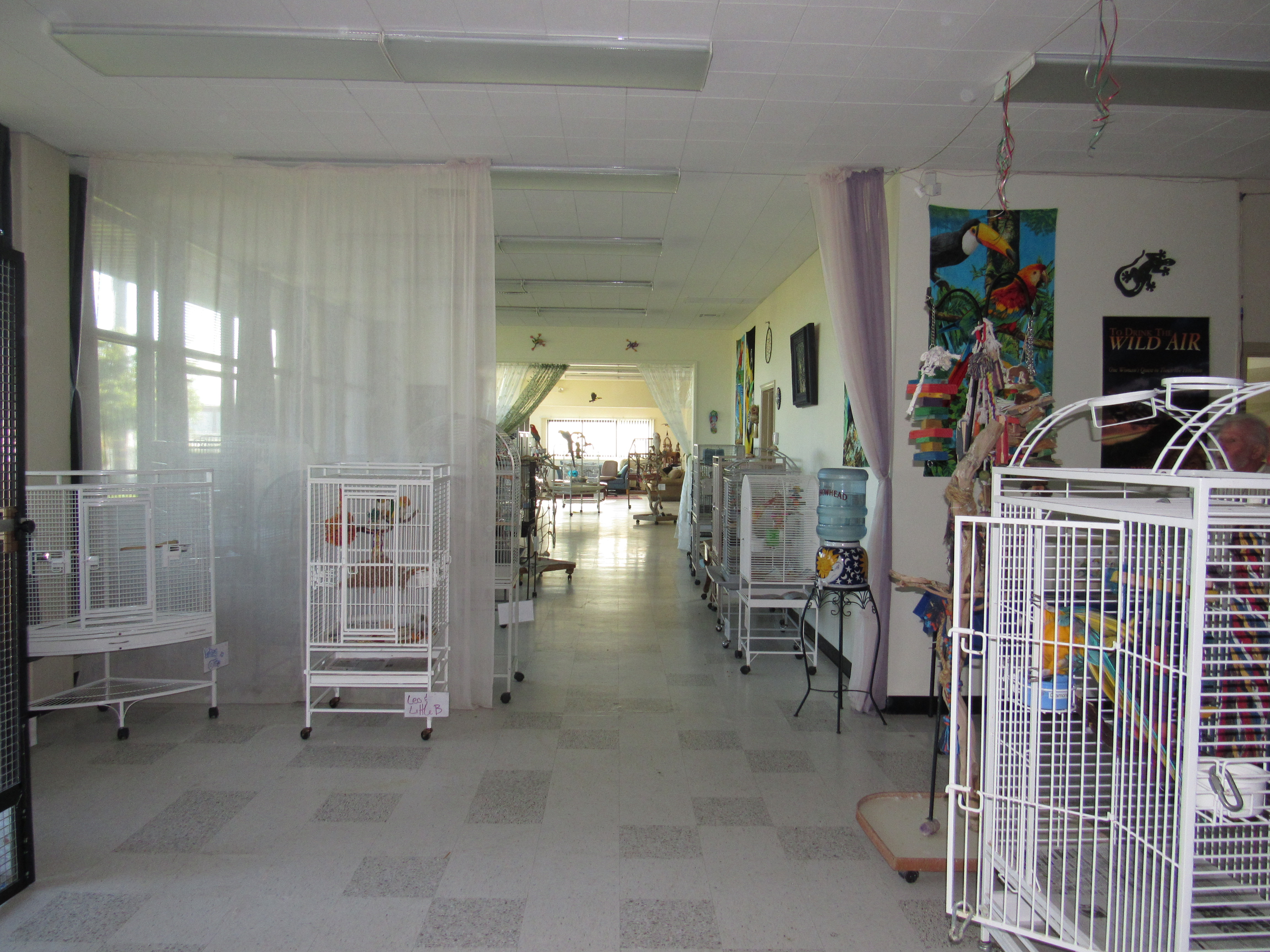 The San Francisco Bird Hotel℠ to Be Featured in Major Network Launch