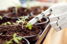 A robot can grow Marijuana for you from seed to harvest!