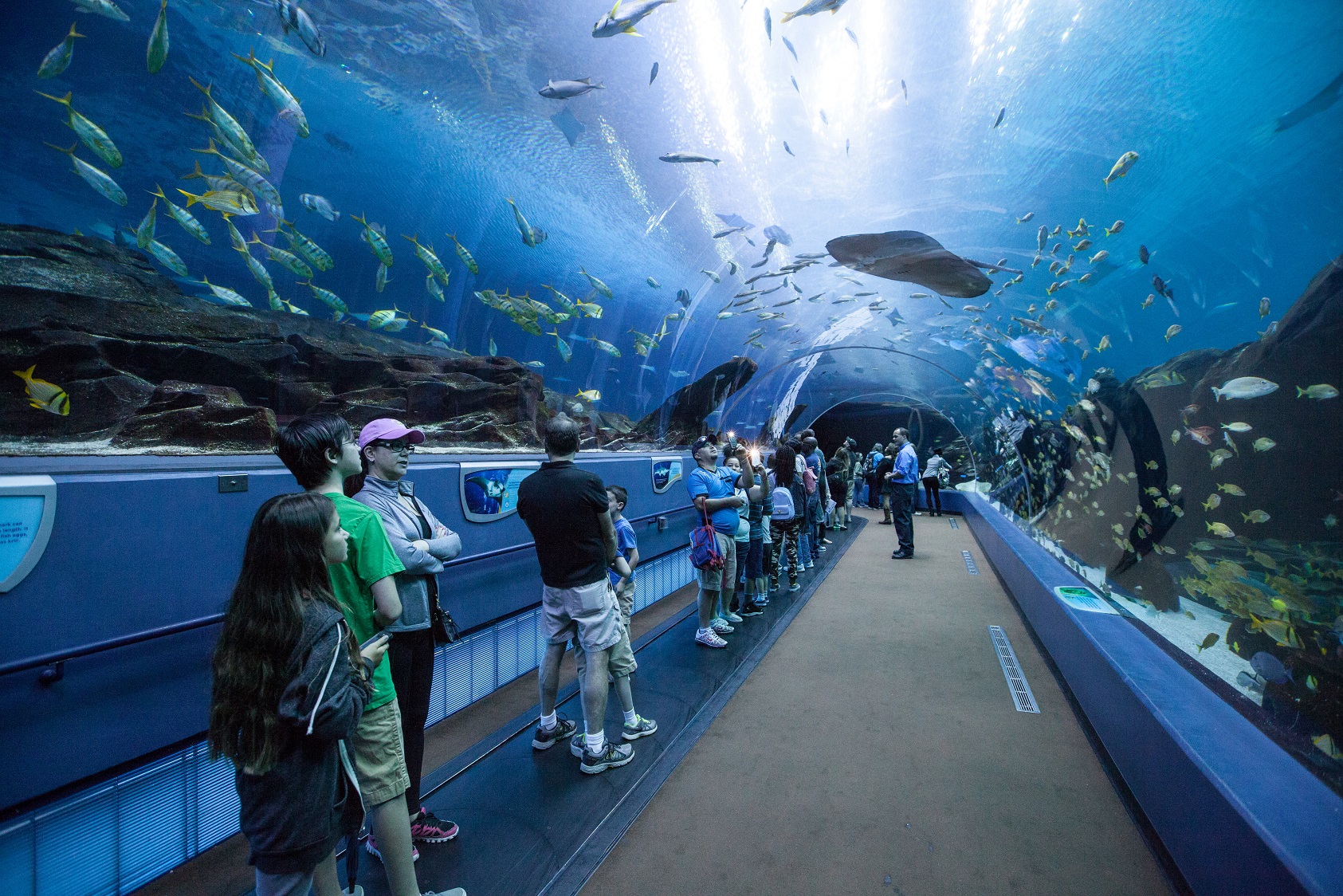 georgia aquarium visit