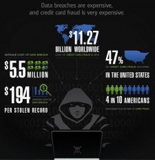 The True Cost of Credit Card Fraud