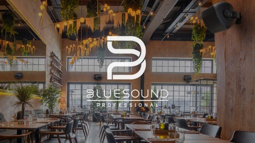 Bluesound Professional BSP1000 and BSP500 Loudspeakers Are Now Shipping
