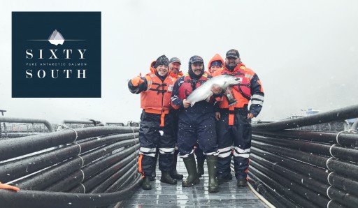 Nova Austral's Sixty South® Salmon Receives 'Good Alternative' Rating From Monterey Bay Aquarium's Seafood Watch® Program