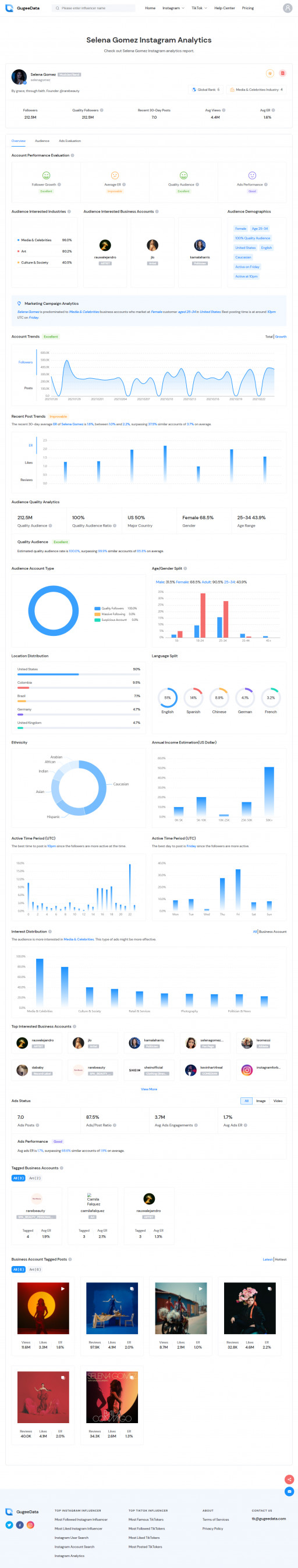 Sample Instagram Analytics Report