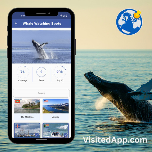 3 Out of 10 Most Visited Whale Watching Destinations Are Found in US