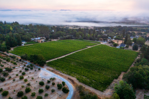 DuMOL Introduces the Brilliant 2021 MacIntyre Estate Vineyard Pinot Noir