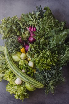 County Line Harvest