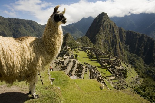Peru Reports Uptick in Exports to United States and Inbound U.S. Travelers
