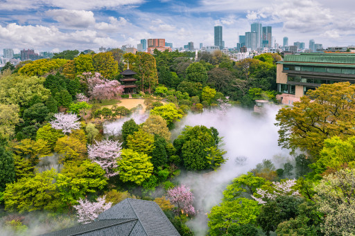 Hotel Chinzanso Tokyo - Chinzanso Garden and the Tokyo Sea of Clouds