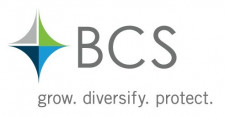 BCS Financial