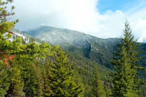 Vital Ground Donates Isolated Inholding in Southern Cabinet Mountains to Lolo National Forest