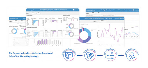 Beyond Indigo Pets Launches Innovative Data-Driven Marketing Dashboard for Veterinary Industry