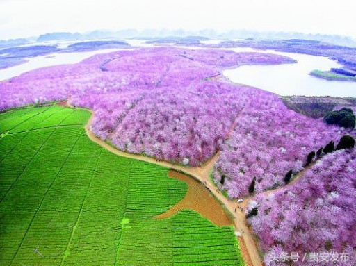 Tourism Supply-Side Reform Boosts Gui'an's "Beauty Economy"