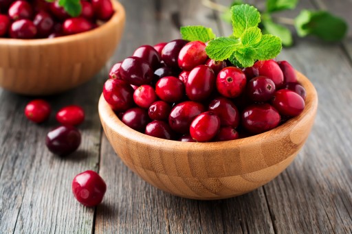 The Sacramento Dentistry Group Talks About Cranberries and Dental Health