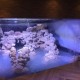 Innovative Acrylics Becomes a Leading Provider of U-Shaped Aquariums