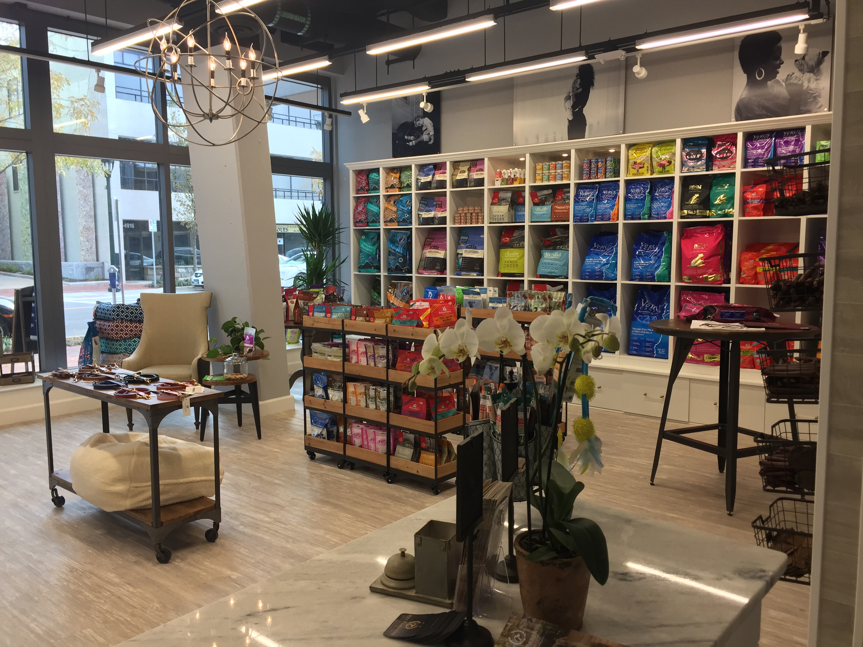 Biggest Pet Store In The World Photos All