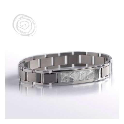 Gibeon Meteorite Interchangeable Bracelet