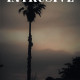 Barbara Aina's New Book 'Intrusive' is a Mystery-Suspense Novel Perfect for Stormy Nights