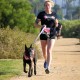 Surf City Surf Dog® Organizers Hold Paws FUR Pink®, Dog-Friendly Run/Walk Series for Cancer Awareness