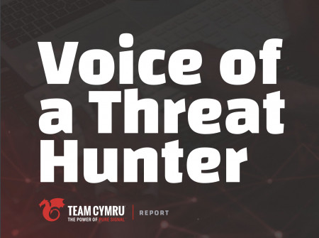 Voice of a Threat Hunter
