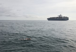 Bergman During English Channel Solo Swim