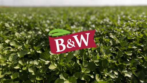 B&W Quality Growers Discusses How Watercress Can Improve the Aging Process