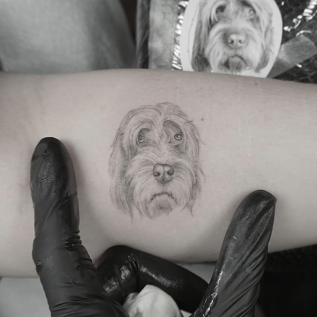 Irish Wolfhound  Bleistiftzeichnung  Irish wolfhound Wolfhound Dog  tattoos