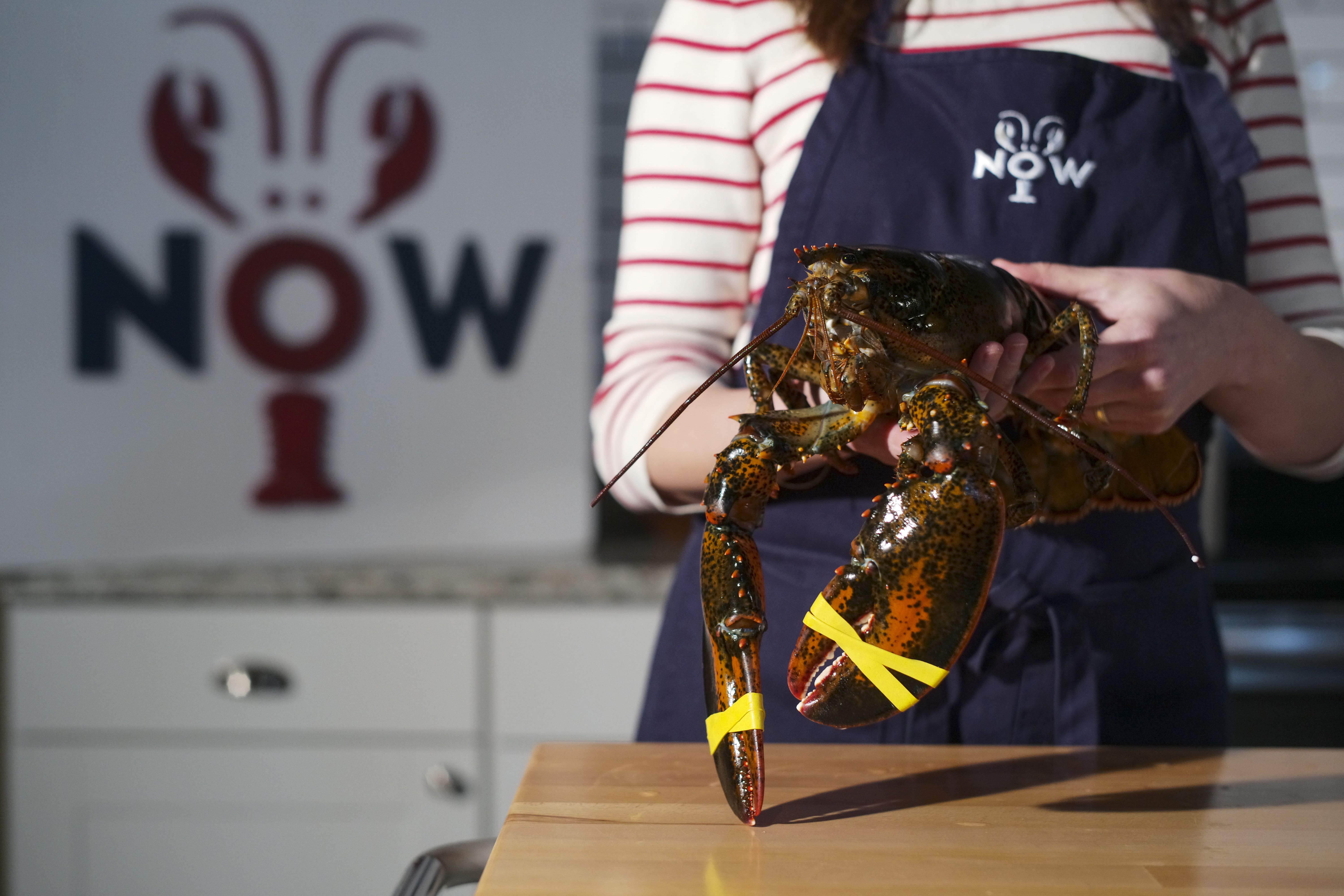 Maine Lobster Now Expands Online Menu With Additional Meat Options