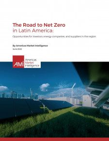 The Road to Net Zero in Latin America