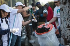 Cleaning up Hollywood
