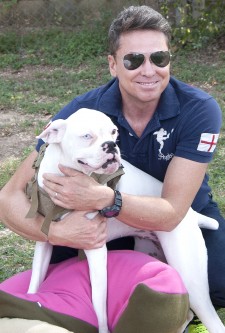 Square Feathers Sews Pet Beds for Shelters of Animals Displaced by Hurricanes