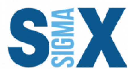 Lean six sigma outlet companies