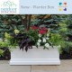 New Planter Boxes Take Container Gardening to Another Level
