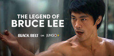 The Legend of Bruce Lee Series