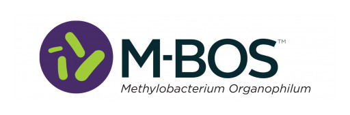 NutriAg Launches M-BOS™ Biological Plant Supplement in Canada