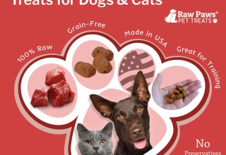 Raw Paws Pet Treats Honored On Top 50 Pet Treats List | Newswire