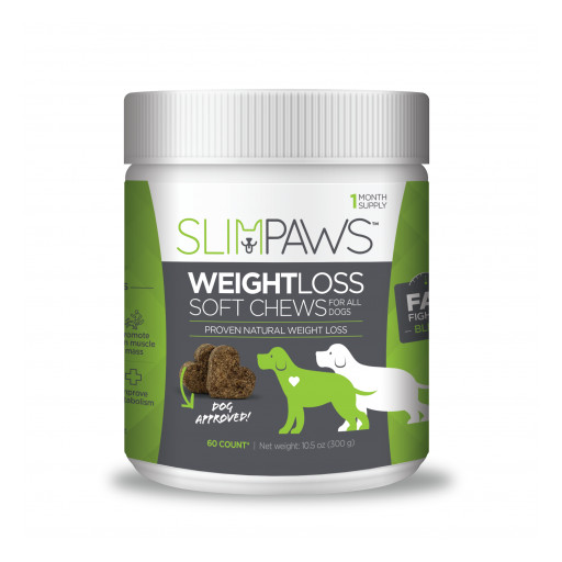 SlimPaws Seeks to Help Combat the Canine Obesity Epidemic