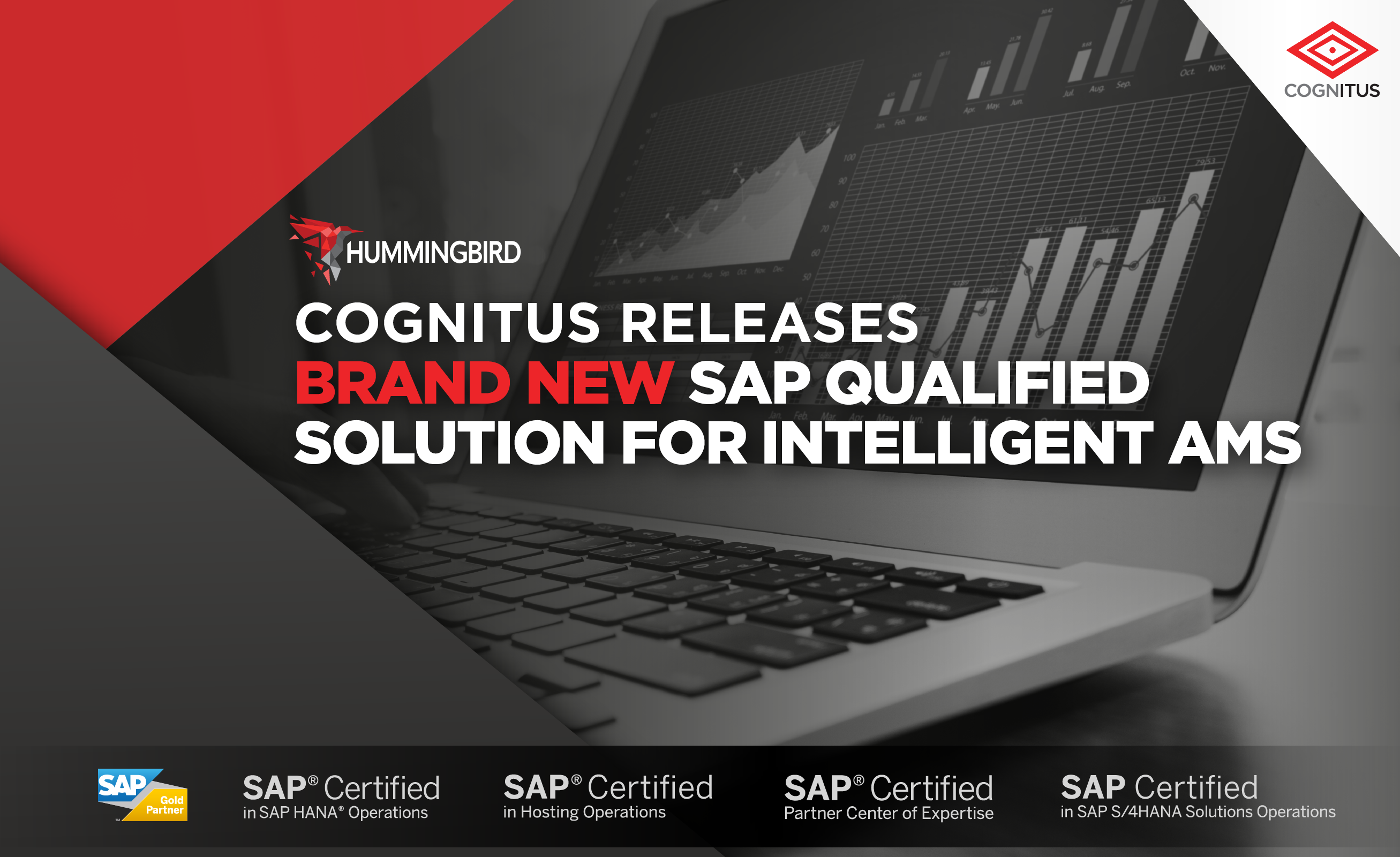 Building Intelligence Into Application Management Support - Cognitus ...