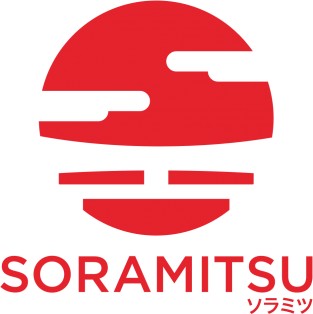 Applications of Soramitsu's Sora Platform and Hyperledger Iroha for ...