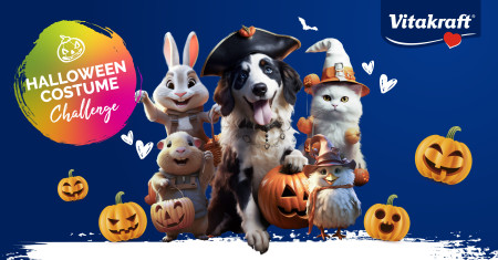 Vitakraft® Announces 'The Trick & Treat Halloween Costume Contest’ for Pets