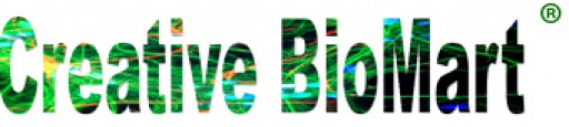 Creative BioMart Leads the Way in the Supply of PRL Proteins